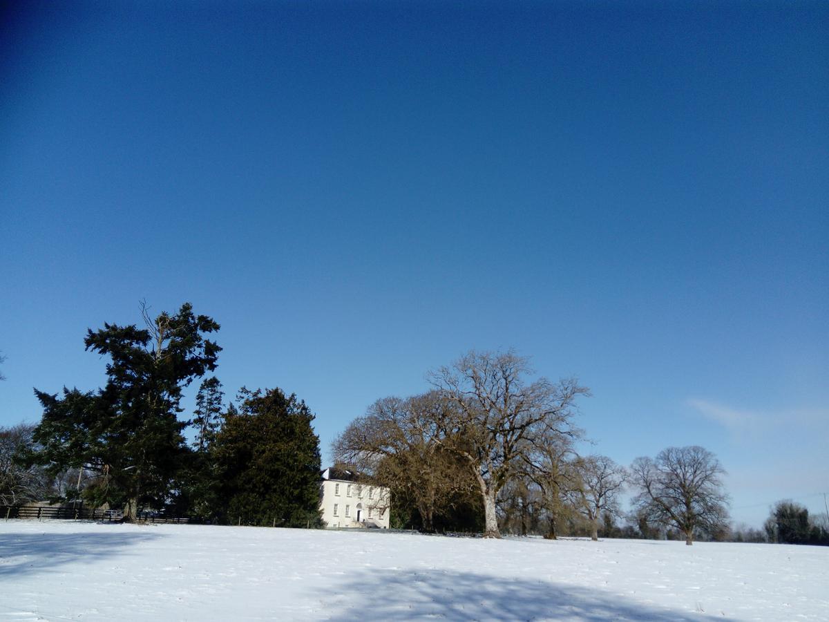 Augherea House ロングフォード エクステリア 写真